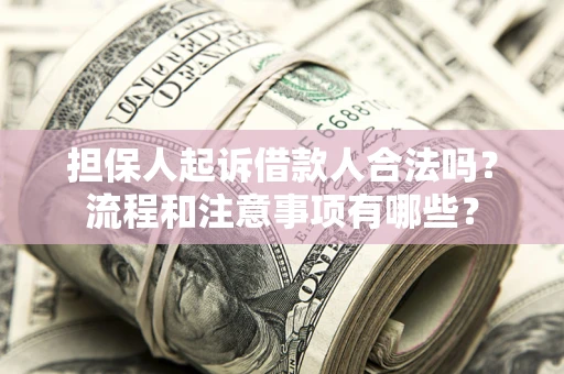 济南担保人起诉借款人合法吗？流程和注意事项有哪些？