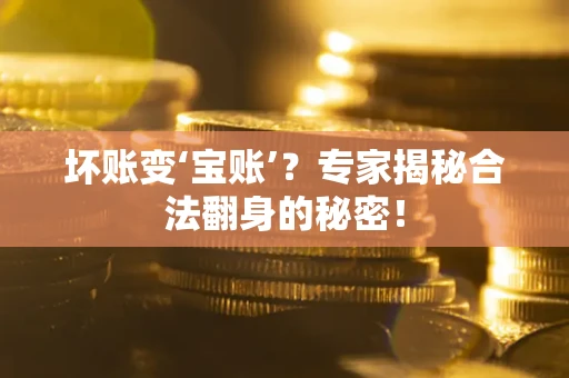 济南坏账变‘宝账’？专家揭秘合法翻身的秘密！