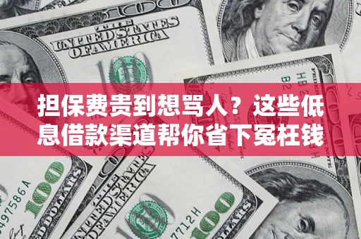 济南担保费贵到想骂人？这些低息借款渠道帮你省下冤枉钱