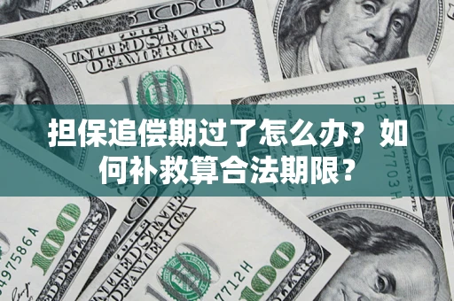 济南担保追偿期过了怎么办？如何补救算合法期限？