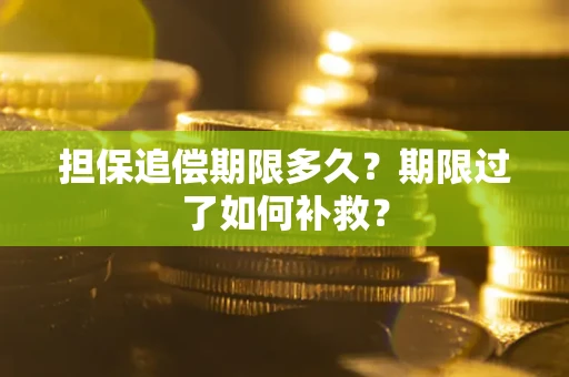 济南担保追偿期限多久？期限过了如何补救？
