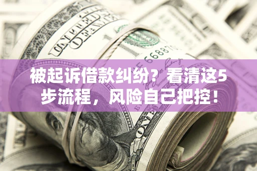 济南被起诉借款纠纷？看清这5步流程，风险自己把控！